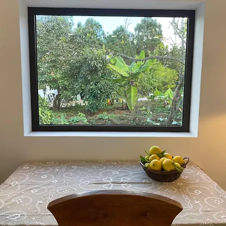 Holiday home Viriata - Rural Getaway, Pool, Golf & Hiking Lovers Tacoronte